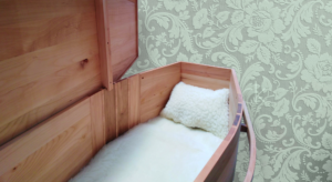 Archetype Silver Beech