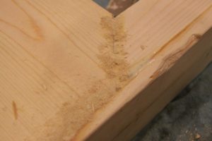 Sawdust putty