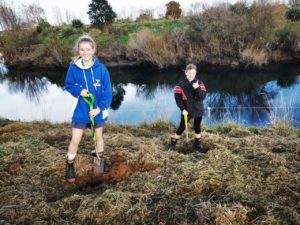 TFS Goldfields Paeroa