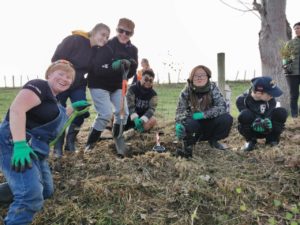 TFS Goldfields Paeroa