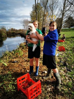 TFS Goldfields Paeroa
