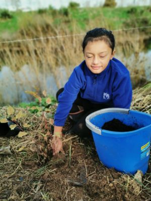 TFS Goldfields Paeroa