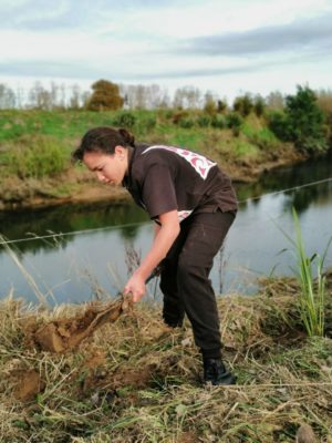 TFS Goldfields Paeroa