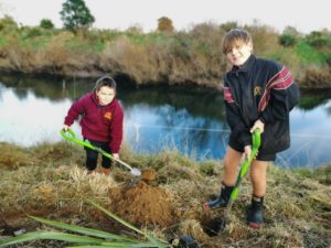 TFS Goldfields Paeroa