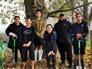 TFS Goldfields Paeroa