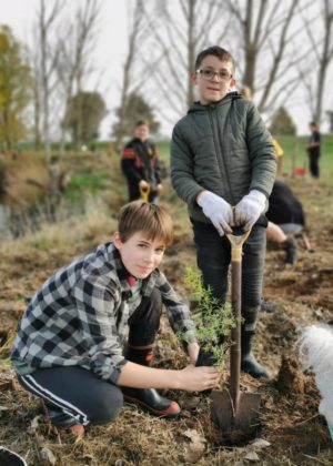 TFS Goldfields Paeroa