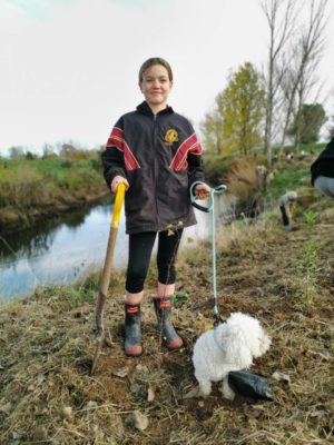 TFS Goldfields Paeroa