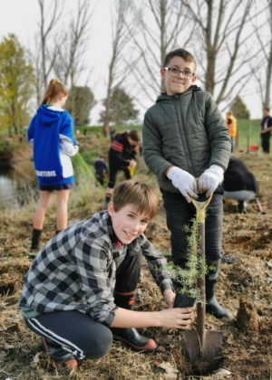 Trees for Survival Goldfields School Paeroa and Waikato Regional Council