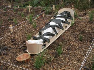 Waikumete Natural Burial Grounds opening